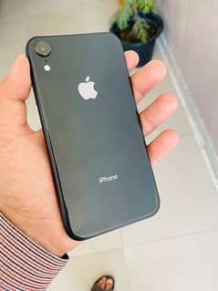 IPhone XR (64GB) Non pta Waterpack 84Health LLA model  Mint Condition 0