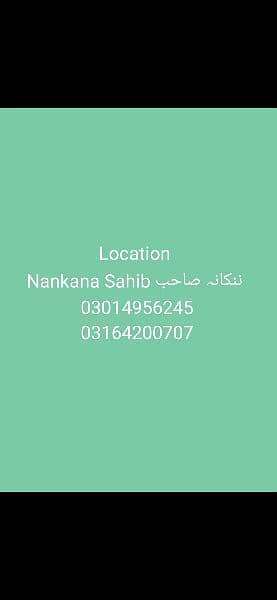 21\22 model location ننکانہ صاحب Nankana SAHib 0301=4956=245 12