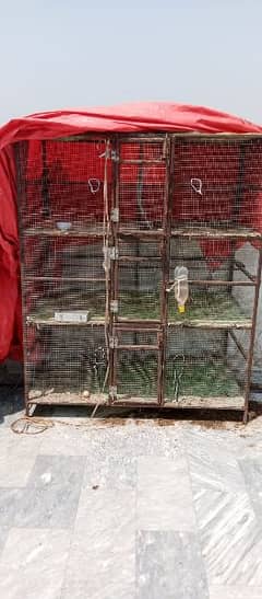 hens cage for sale 6*5*3 0