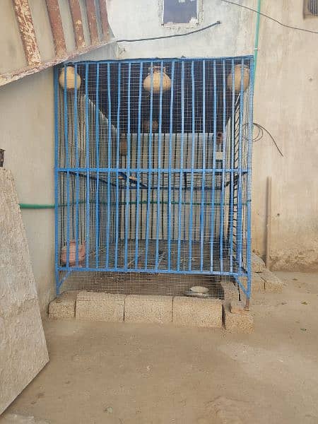 Cage for parrots 2