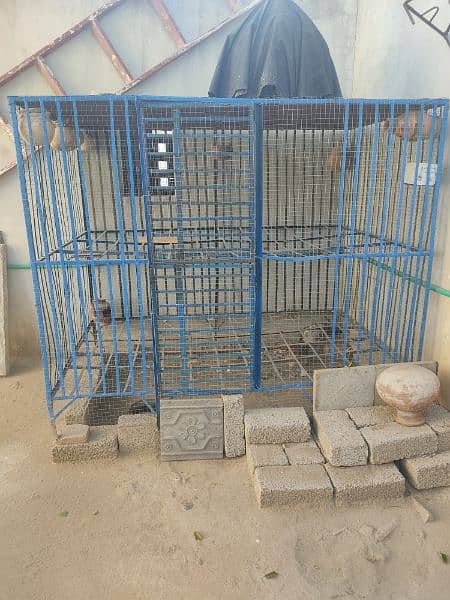 Cage for parrots 3