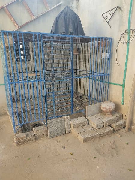 Cage for parrots 4