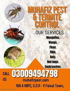 Termite Control, Fumigation Spray, Deemak Control, Pest Control 0