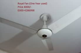 Royal Fan Ceiling Fan (56'')