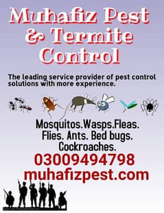Deemak Control, Fumigation Service, Pest Control, Termite Control
