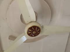 5 Months Used Ceiling Fan