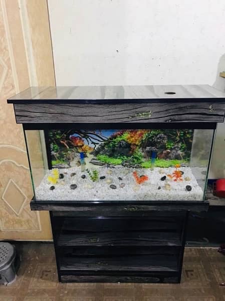 3fit brand new fish aquarium num 0311/4440283 2