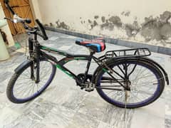 speed cycle new 10 by 10 condition