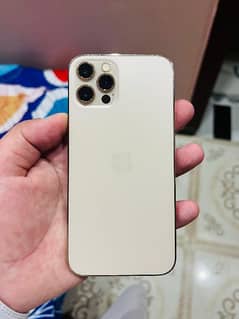 iPhone12pro 256gb water pack 81% Original Condition10/10 golden color