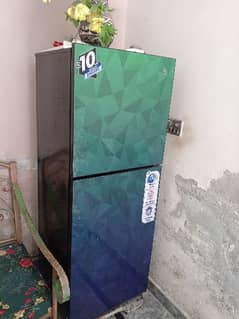 Glass Door Refrigerator  (PEL)