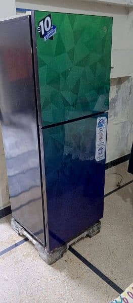 Glass Door Refrigerator  (PEL) 5