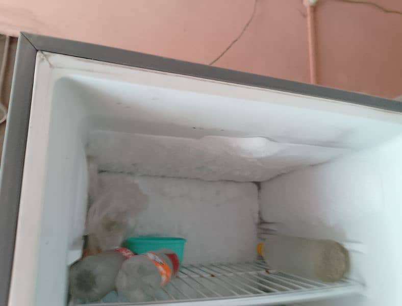 freezer Haier company 1