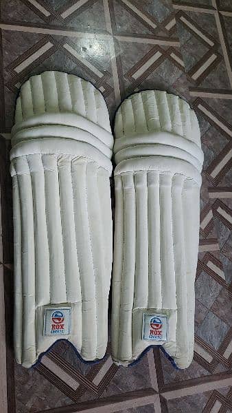 Cricket kit 4