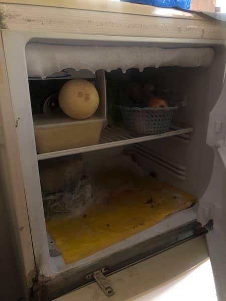 pel fridge 4