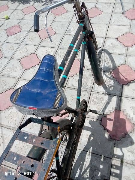 China phoenix bicycle 1