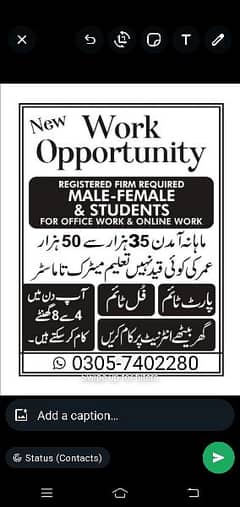 male and female staff required For online work Full-time part time