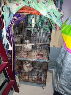 2 Portion bird cage with pair of cocktail and finch