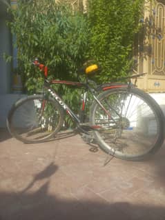 (Cycle For Sale)