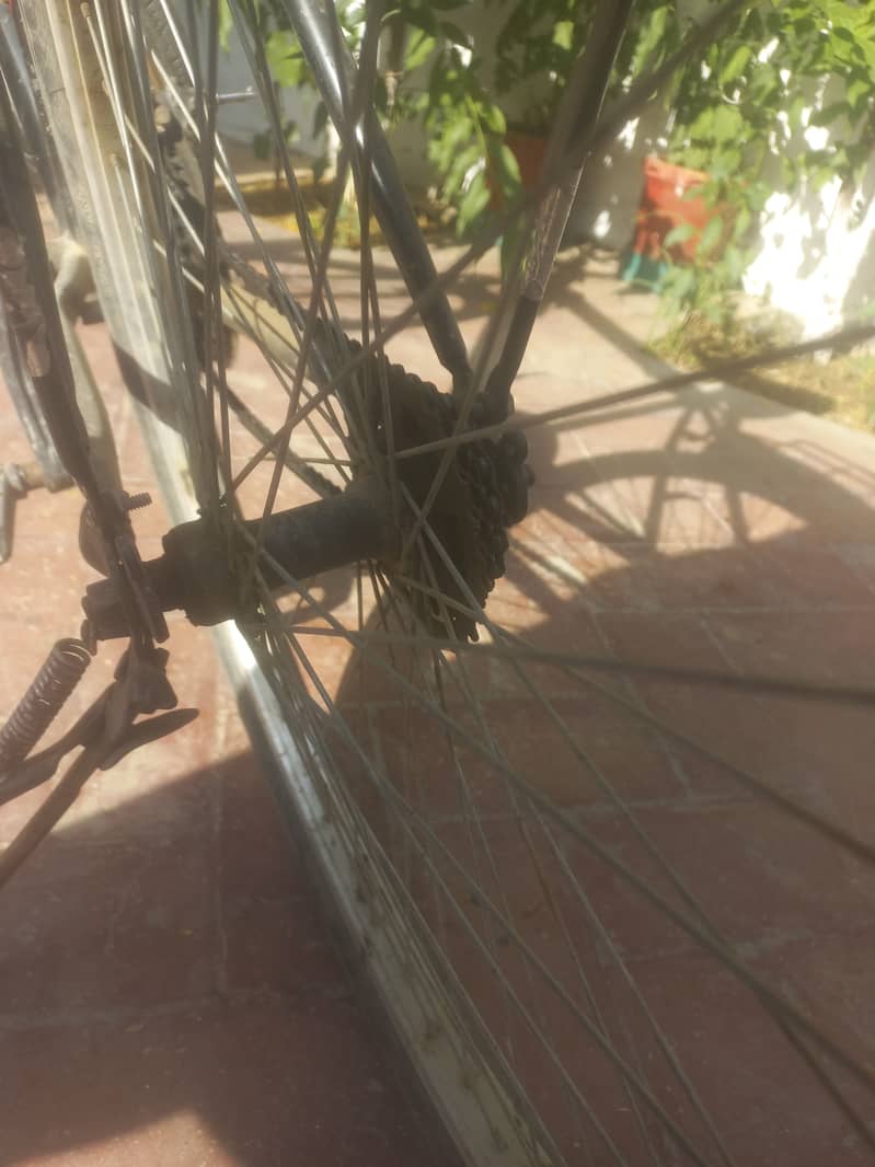 (Cycle For Sale) 1