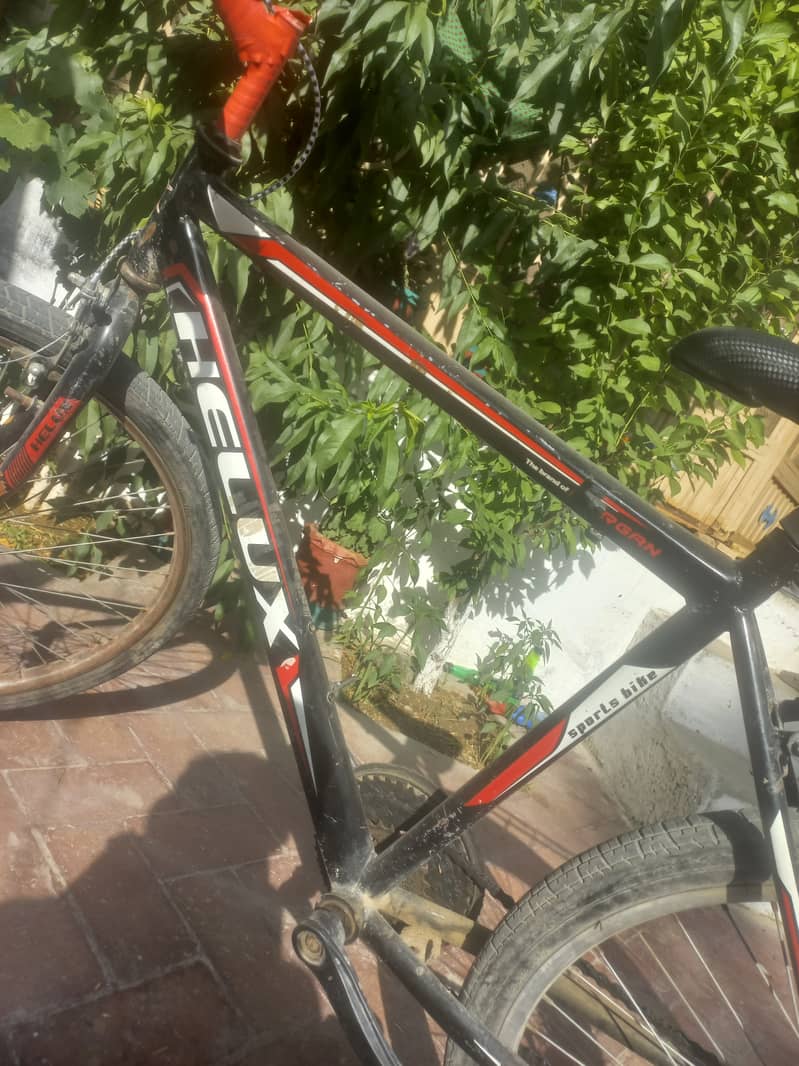 (Cycle For Sale) 3