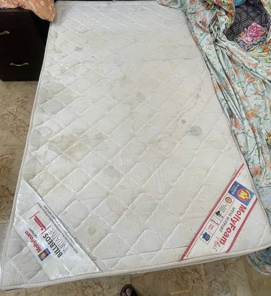 Master Molty Foam Plus mattress 2