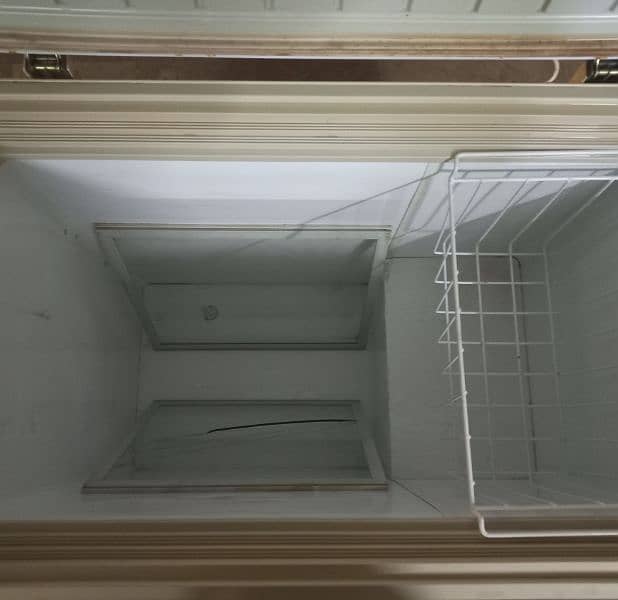 freezer and fridge 1