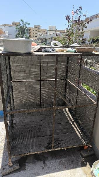 cage for birds 4
