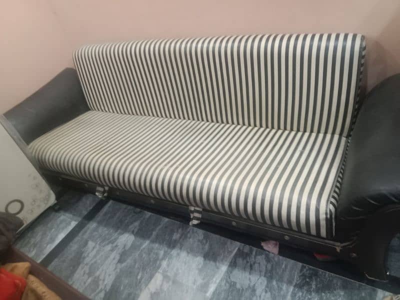 zebra sofa 0