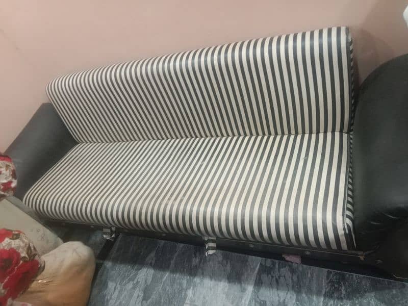 zebra sofa 2