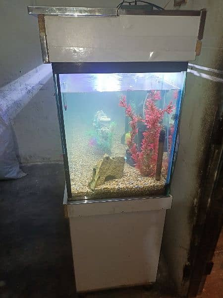 5 by 2 by 1.5 feet aquarium with solid stand and hood 2