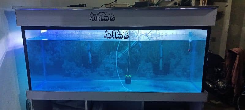 5 by 2 by 1.5 feet aquarium with solid stand and hood 10