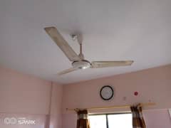 Fan s in Good Running Condition urgent sale