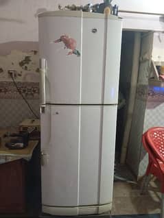 PEL Refrigerator 2 door full size