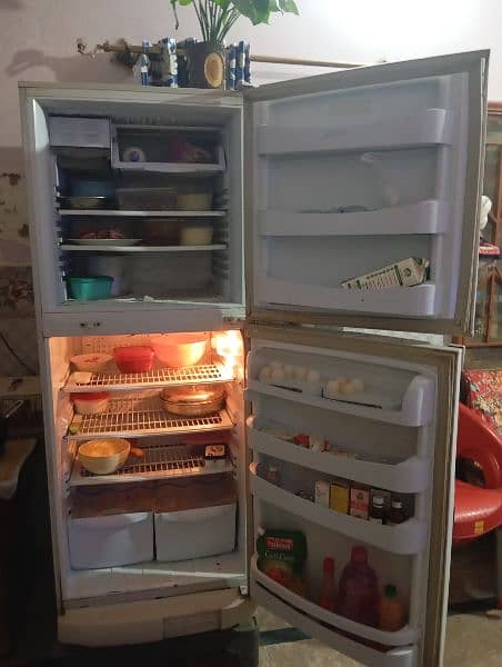 PEL Refrigerator 2 door full size 1