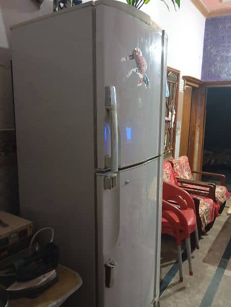 PEL Refrigerator 2 door full size 2