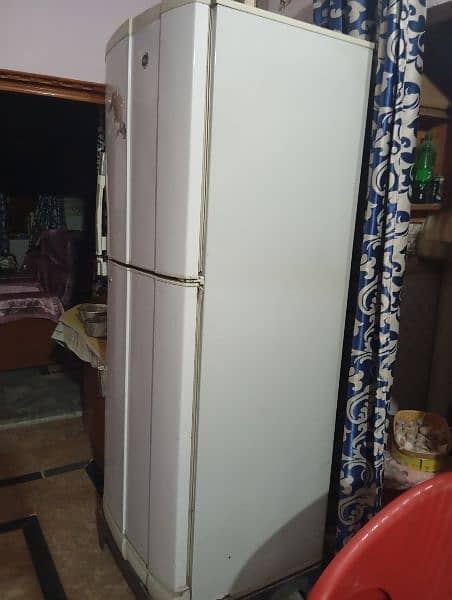 PEL Refrigerator 2 door full size 3