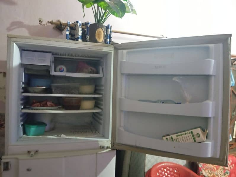 PEL Refrigerator 2 door full size 4
