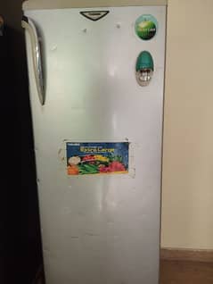 Toshiba Fridge