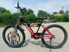Sumac bicycle for sale