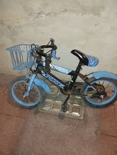 bicycle for kids