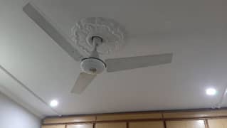 Royal Ceiling Fan White