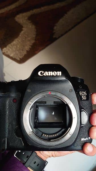 Canon 5D Mark III with Canon 24-105 Lens 9