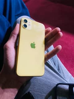I phone 11 yellow color