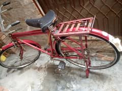 Eagle baba cycle for sale