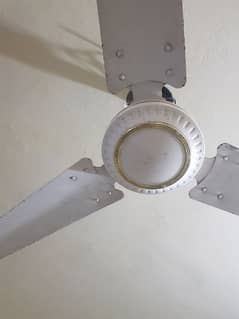 12 volt ceiling fan