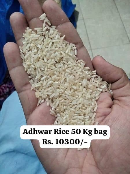 Kainat Steam Rice & Adhwar/short green Rice 4