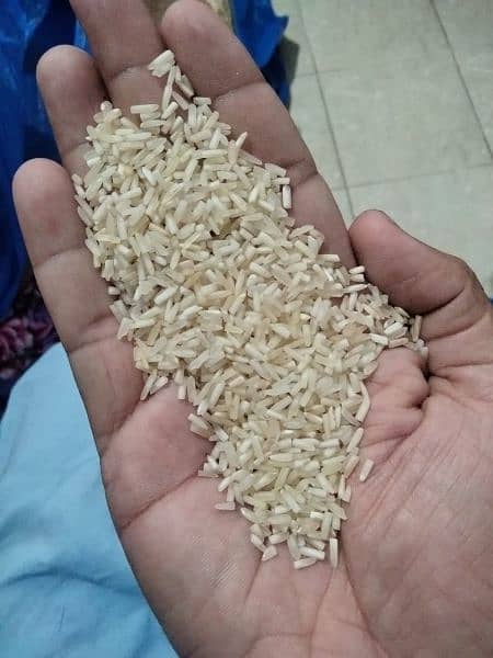 Kainat Steam Rice & Adhwar/short green Rice 6
