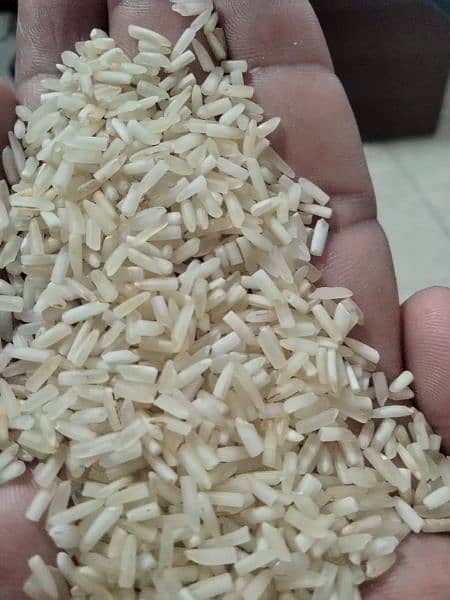 Kainat Steam Rice & Adhwar/short green Rice 7