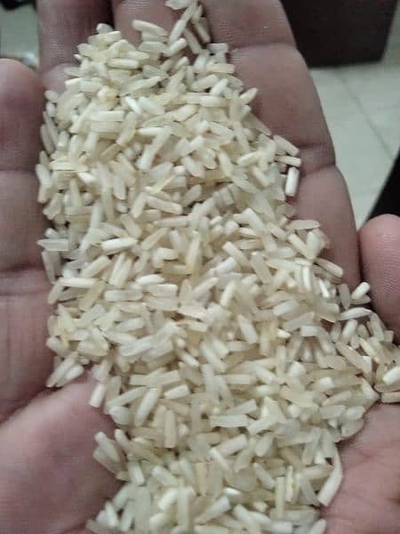 Kainat Steam Rice & Adhwar/short green Rice 8