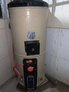 Dual electric and gas Geyser